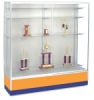 Spartan Trophy Case