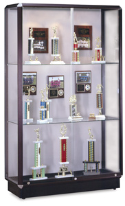 Waddell Prominence Series Display Case