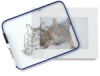 Clear Plexiglas Dry Erase Boards