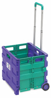 Go-Anywhere Smart Cart