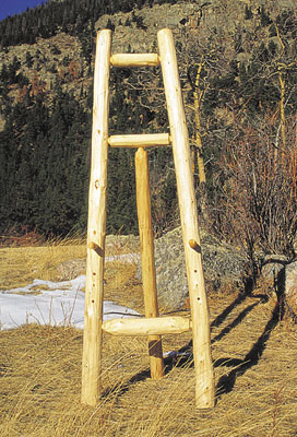 Xylem Lodgepole Pine Display Easel