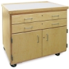 Hann Mobile Art Storage Cart