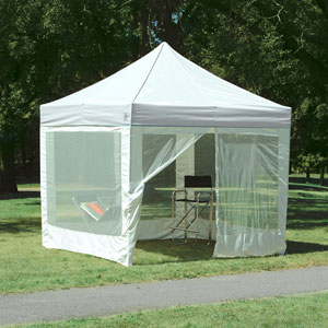 E-Z Up Express II Sun Shelter