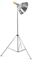 Chromalux Light With Stand