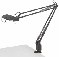 Halogen Swing Arm Lamp