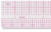 C-Thru Transparent Pica Rule