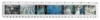 Artist Rulers
