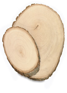 Walnut Hollow Basswood Shapes