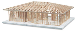 House Structure Kits