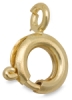 Spring Ring