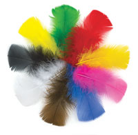 Crafty's Plumage