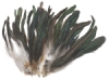 Bronze Schoppen