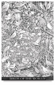 Color Your Own Environmental Posters