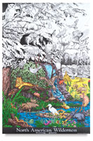 Color Your Own Environmental Posters