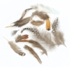 Natural Feather Assortment