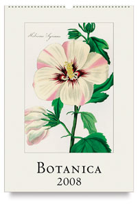 2008 Cavallini Wall Calendars