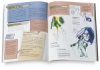 Writing and Illustrating the Graphic Novel