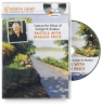 Capture The Values Of Sunlight And Shadow