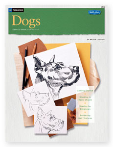 How to Draw Animals