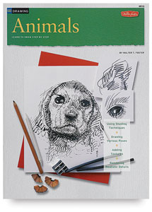 How to Draw Animals