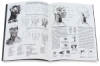 Anatomy