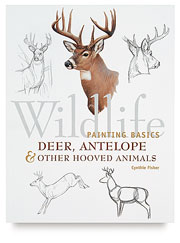 Wildlife Painting Basics