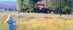 Signilar Art Video Plein Air Painting
