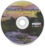 Mood and Atmosphere in Oils