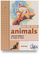 Draw Sketch Animals