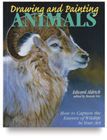 Drawing Painting Animals