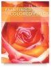 Painting Light With Colored Pencil