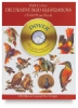Decorative Bird Illustrations