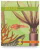 Sea Life