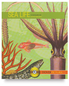 Electronic Books - Dover Pictura Electronic Clip Art Books And CD-ROM