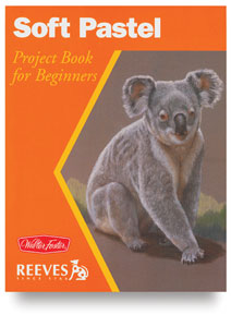 Soft Pastel: Project Book for Beginners