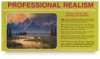 Professional Realism, Set of 5