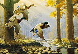 Quinten Gregory's You Can Paint Ducks