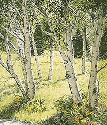 Quinten Gregory's Shadows, Secret Light