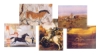Horses