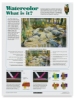 Watercolor Posters