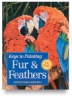 Painting Fur And Feathers