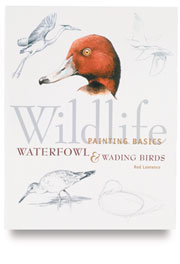Wildlife Painting Basics: Waterfowl & Wading Birds