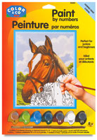 Color & Co. Kids' Kits