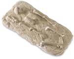 Faux Fossil Fun