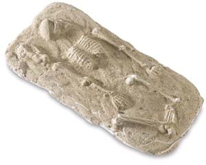 Faux Fossil Fun
