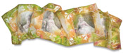 Lazertran Silk Scarf