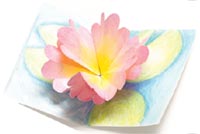 Waterlily Origami Pop-Up Card