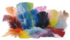 Feathers