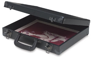 Archival Storage Cases